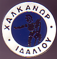 Badge APS Chalkanoras Idaliou